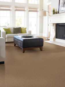 guide on carpeting