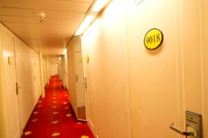 Best Carpet for Hotel Hallway
