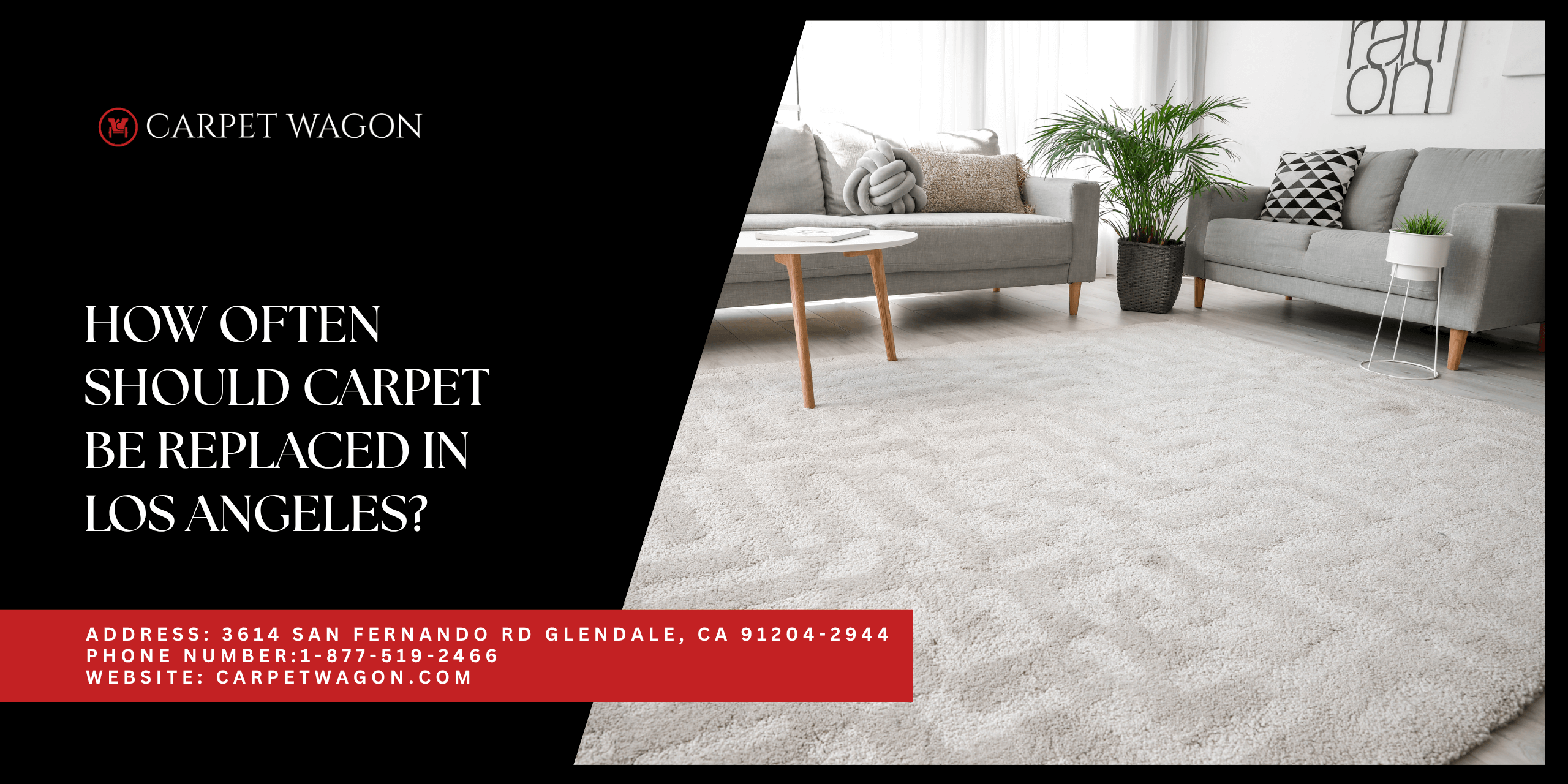 How Often Should Carpet Be Replaced in Los Angeles