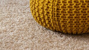 How to Select Pet-Friendly Carpet for Homes in Pasadena